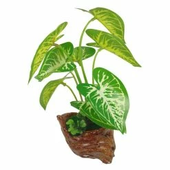Other Leafy Plant 22cm Assorted -Pony shop 314cf2f00b0ce7d11409a749d87b7fc5 thumb