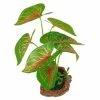 Other Leafy Plant 22cm Assorted -Pony shop 5f1860b59daf464eebfb4635af99f880 thumb