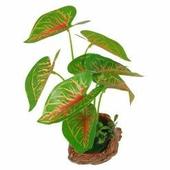Other Leafy Plant 22cm Assorted