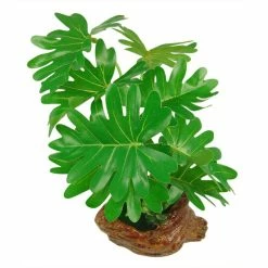 Pony shop -Pony shop 61dec916ef804c4bf490b6573d5df4d4 thumb