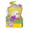 Little Live Pets Bird Series 10 Single Pack Assorted -Pony shop c2f1c6085a2a1a2a7b60c849a2cbf102 thumb