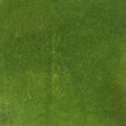 Other Grass Mat Plain Green